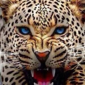 Meet your Posher, Oshuncita